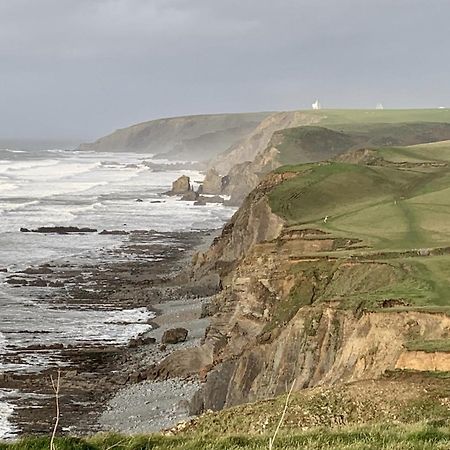 Duckpool Cottage Bideford Dış mekan fotoğraf